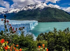 DIA 7 - EL CALAFATE | GLACIAR PERITO MORENO y SAFARI NAUTICO DIA 7 - EL CALAFATE | GLACIAR PERITO MORENO y SAFARI NAUTICO