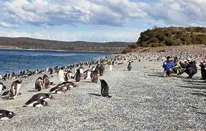DIA 7 – EL CALAFATE | USHUAIA DIA 7 – EL CALAFATE | USHUAIA