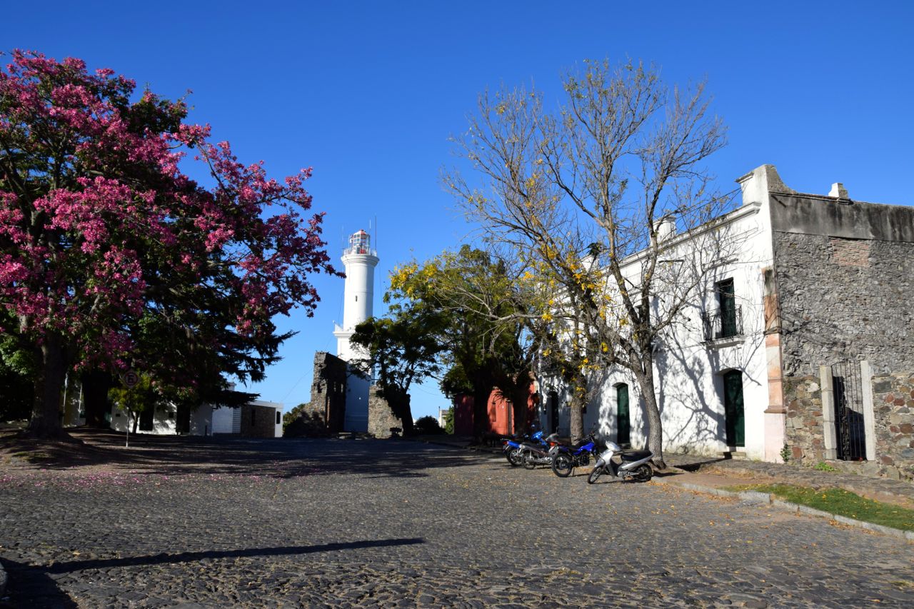 COLONIA 5