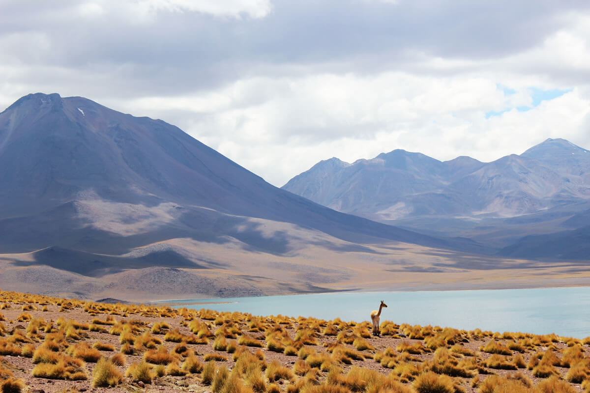 NORTE DE ARGENTINA y ATACAMA
