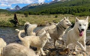 DIA 7 – USHUAIA|EXCURSION A LOS LAGOS DIA 7 – USHUAIA|EXCURSION A LOS LAGOS